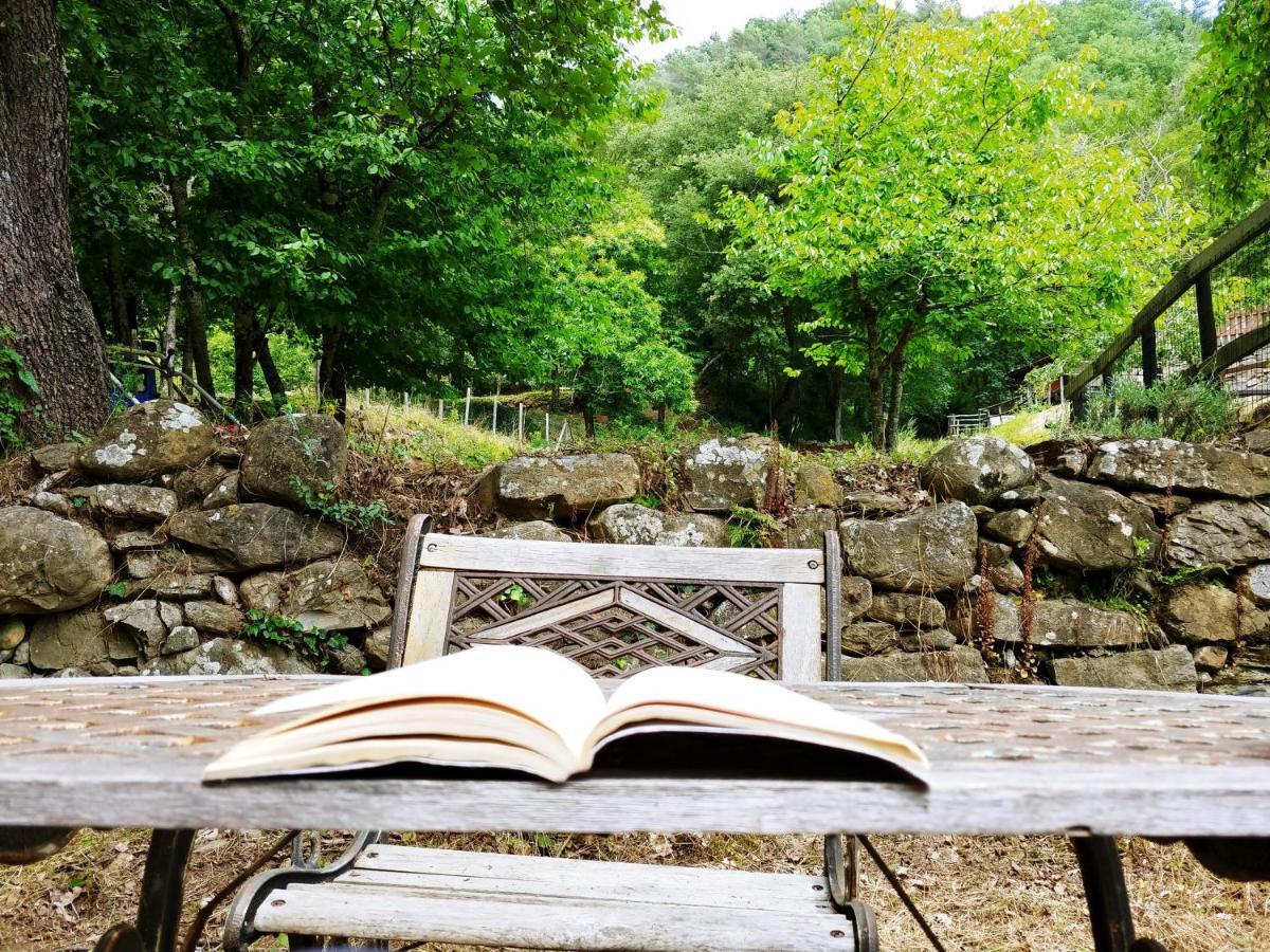 Agricamping Ponteraggio N.1 Hotel Dolceacqua Exterior photo
