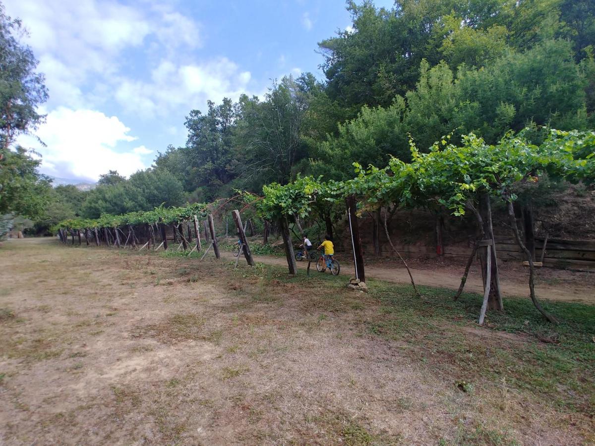 Agricamping Ponteraggio N.1 Hotel Dolceacqua Exterior photo